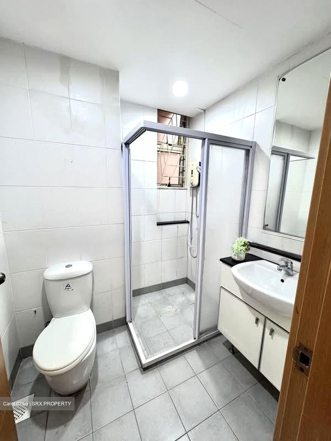 Sims Green (D14), Apartment #579637021